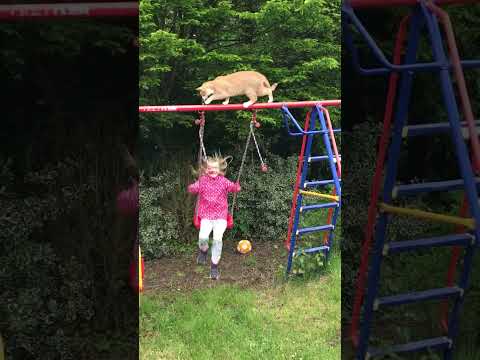 Cat Falls on Swinging Girl Who Does Backflip and Lands Like  Superhero