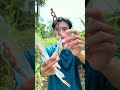 Tangkringan ukir burung pleci dan sogon #tangkringanukir #tangkringansogon