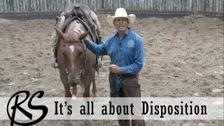 Disposition - Everyday Horsemanship with Craig Cameron