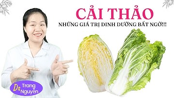 Cải Thảo: Lợi Ích và Tác Hại | Lưu Ý Khi Sử Dụng Hằng Ngày