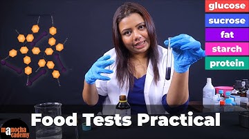 Food Test Practical Biology