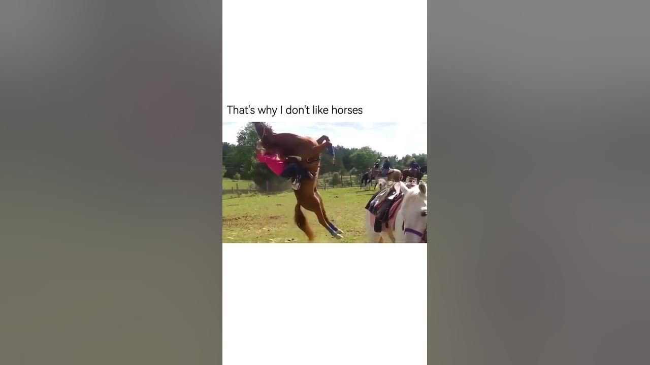 When people asks me why you don't love horses then me YouTube