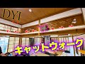 これぞYoutuberの家!猫が遊べるように家を改造してみた!