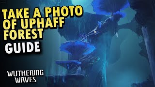 Take a Photo of Uphaff Forest - Guide | Wuthering Waves