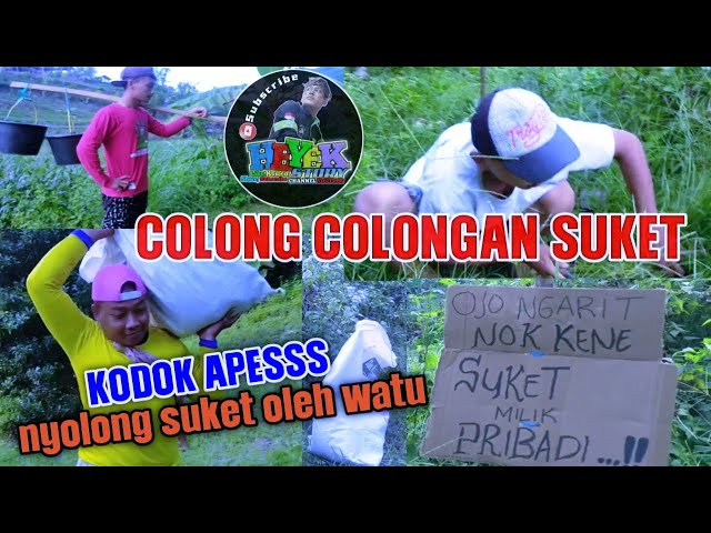 KODOK NYOLONG SUKET OLEH WATU || FILM PENDEK ANAK DESA || Heyek Story || KREASI ANAK DESA class=