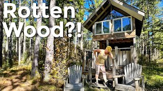 Is the Cabin build in trouble? WOOD ROT in the Tiny House!!
