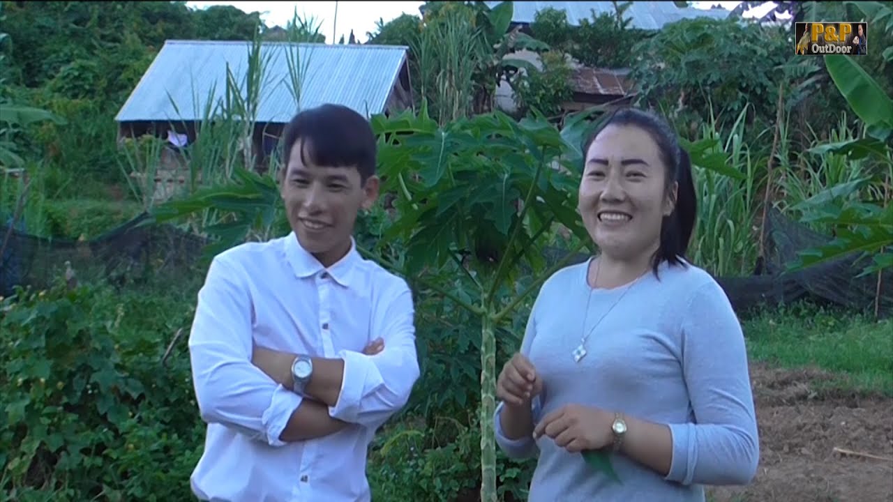 Maiv Lauj Vaj Sib Lwv Hais Kwv Txhiaj