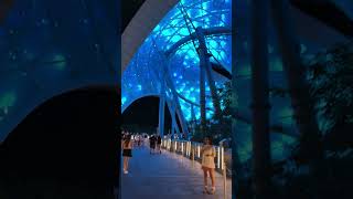 TRON Lightcycle Run Vibes #disney #magickingdom #tron #disneyrides