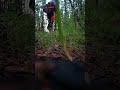 Как приятно слышать вой якутского огромного волка🐺он совсем рядом🌲🌲🌲 вот так и мы живём.