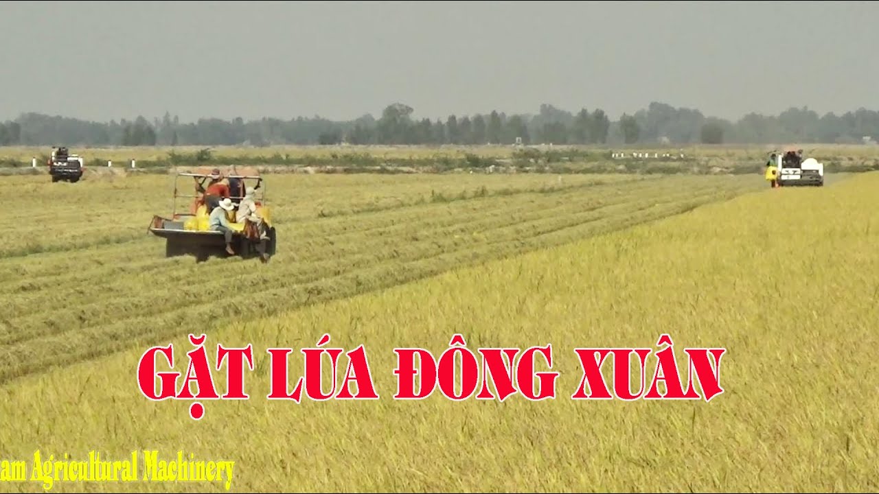 Combine Harvester Máy cắt Kubota Dc70 chạy tốc độ máy cày M6040 chở