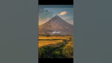 {أَمۡ خُلِقُواْ مِنۡ غَيۡرِ شَيۡءٍ} - من سورة الطور ، الآيات ٣٥،٣٦،٣٧ - الشيخ محمد صديق المنشاوي