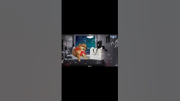 Đố các bạn biết 1k của cháu nó đi đâu mất tiêu rồi ạ? #dingdingtv #funny #cheemsanimation