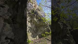#Piliscsaba #ungarn#Teufelsfelsen #natur#stein#blumen #pilsenfelsen