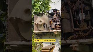 snake in ac outdoor #ac #outdoors #tecnician #accircuits #best #airconditioning #automobile #yt #diy