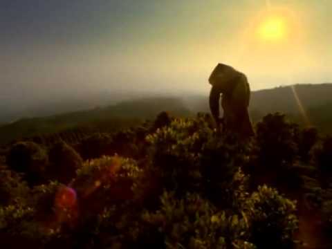 Djarum 76 - Hasil Terbaik