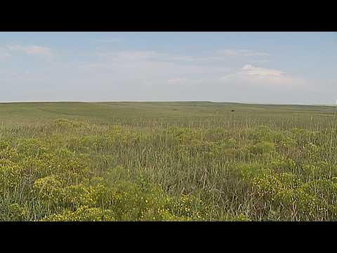 Saving Historic Kansas Prairie Grasslands | America's Heartland