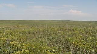 Saving Historic Kansas Prairie Grasslands | America's Heartland