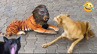 Funniest Animals 😄 New Funny Cats and Dogs Videos 😹🐶 2024 Part 67