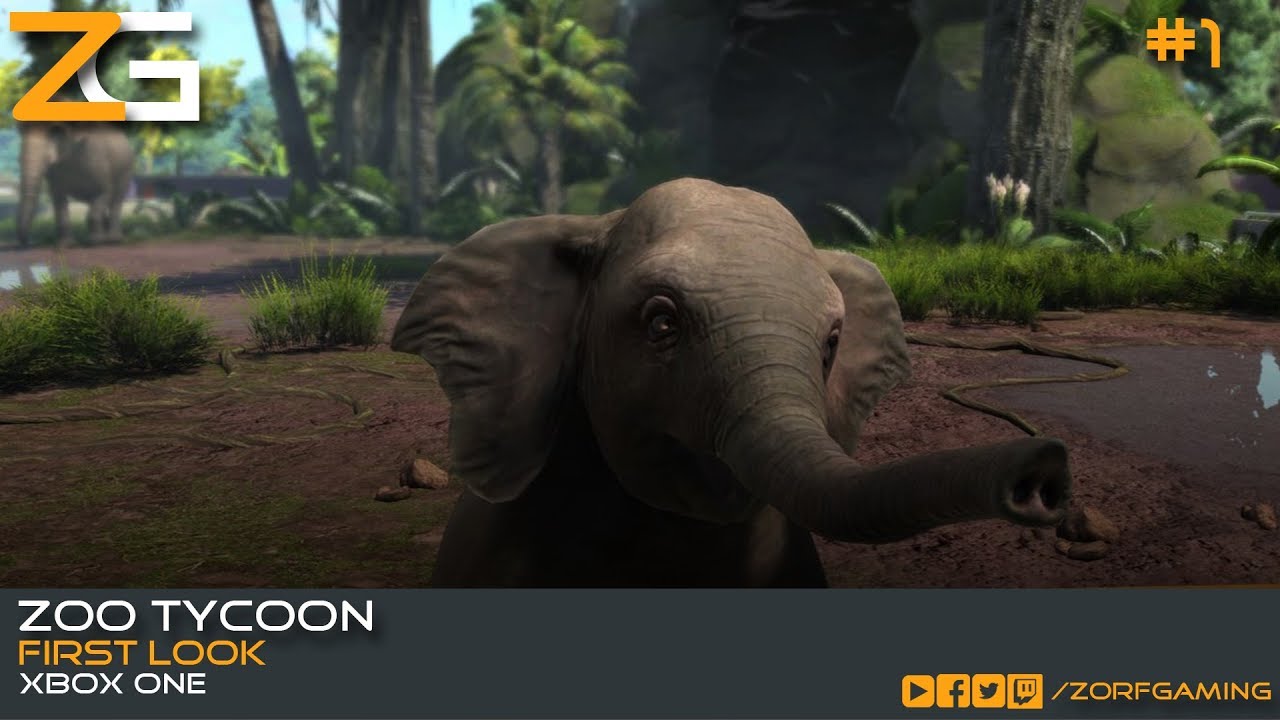 Zoo Tycoon | Xbox One | FIRST LOOK | Zorf Gaming