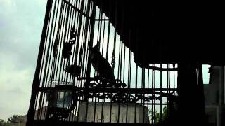 SAM_1017.AVI