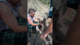 Colorado gator farm