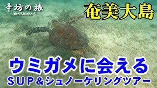 奄美大島 SUP&シュノーケリングツアーでウミガメに遭遇～辛坊の旅～