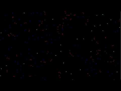 Boids : An artificial life simulation of flock of birds