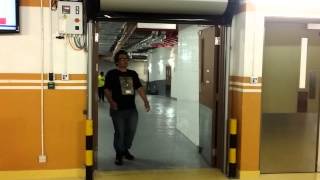 Dynaco - D313 LF - Janus Entry Systems Ltd.