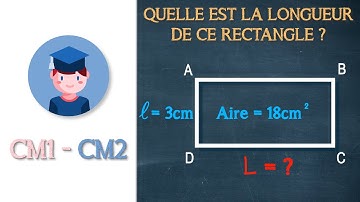 Quelle est la longueur de ce rectangle ? - CM1 CM2 - Petits Savants