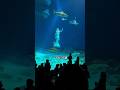 人魚ショーの準備過程の大変な裏側