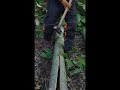 wood cutting