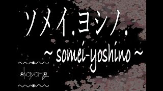 ソメイ.ヨシノ