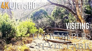 Lost Maples State Park | Hill Country | Vanderpool, TX