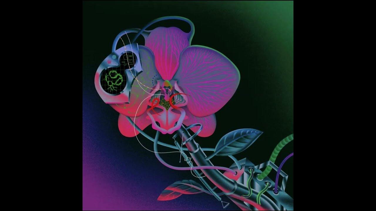 Cocteau Twins Cherrycoloured Funk (lyrics) YouTube
