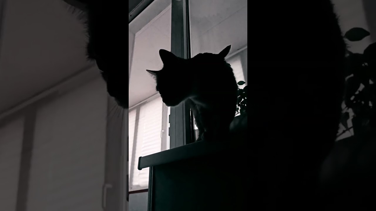 Просыпайся, пора на тренировку 