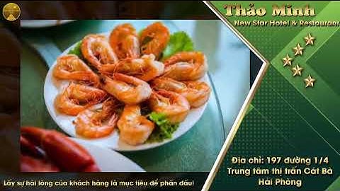 THẢO MINH NEW STAR HOTEL