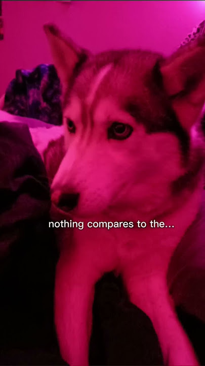 I could not get Gareth ( I don't know how to spell his name so sorry if I spelled it wrong)