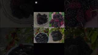The art vs The artist #mulberry #keşfet #keşfetbeniöneçıkar #ytdayibenionecikarnolur #keşfet #keşfet