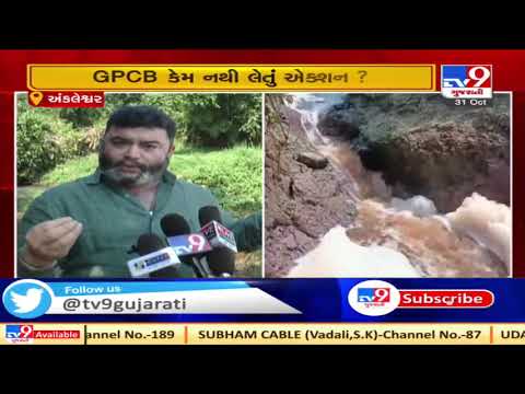 Chemical water destroyed crops in Ankleshwar, Bharuch | Tv9GujaratiNews