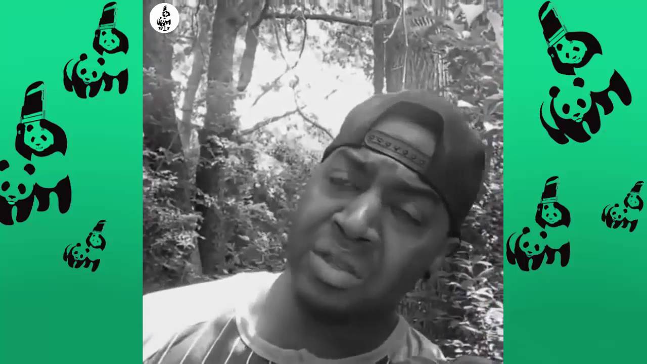 Marlon Webb Vine Compilation with Titles!  BEST Marlon Webb Vines 2016  - Top Viners ✔