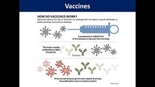Recombinant Vaccines Part 1