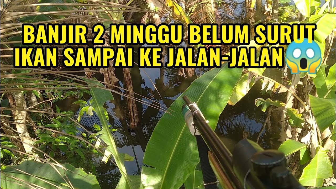 CITANDUY MELUAP, KOLAM WARGA RATA DENGAN AIR💦💦 #banjircilacap