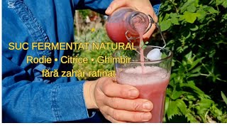 Două sucuri fermentate naturale —🌿 Citrice & Rodie | Probiotice vii, enzime, imunitate. #estyt
