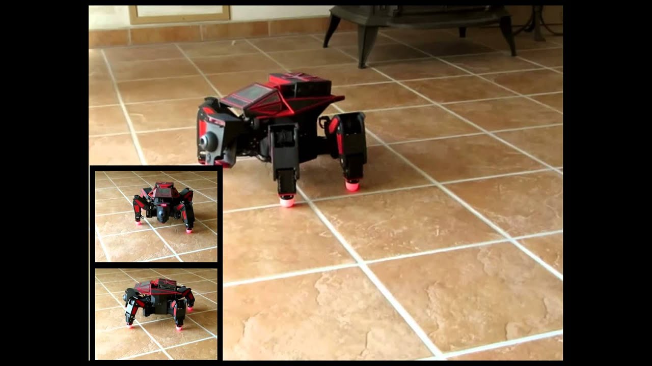 Quadruped robot
