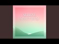 Serene Spectrum Meditation mp3