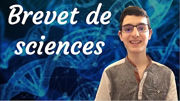 Quelles sont les épreuves de sciences du brevet 2023 ?