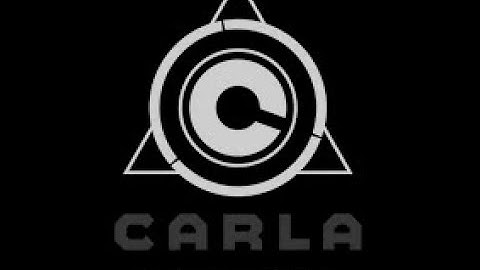 Carla Simulator  || world.debug() and Writing Strings in a Carla World || Codex-Mohnish
