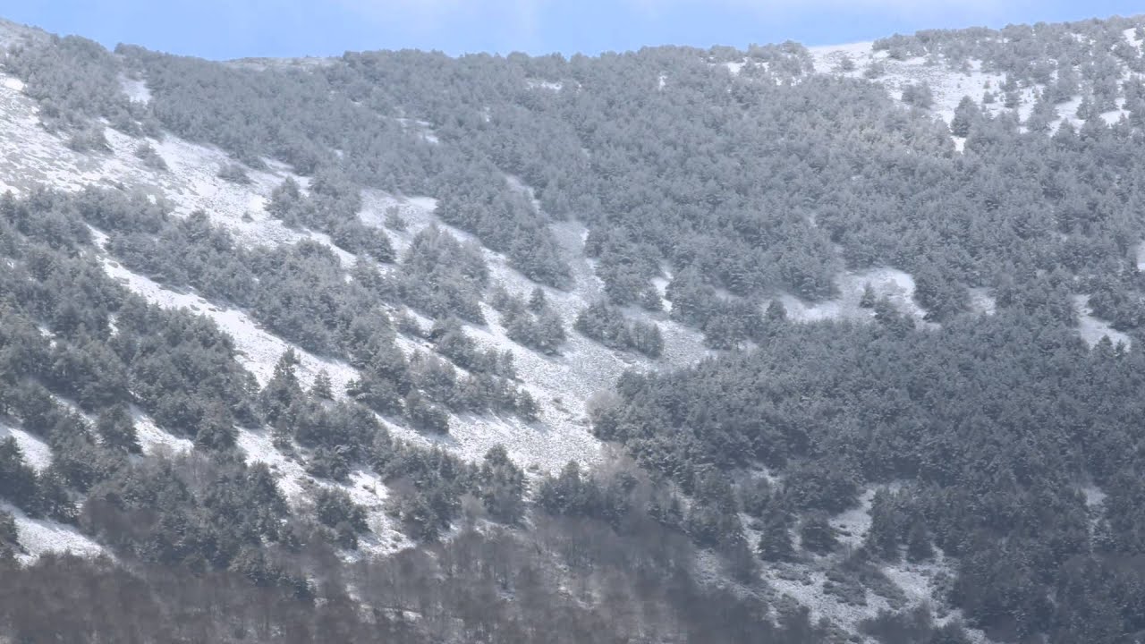 Detalles del Parque natural del Moncayo