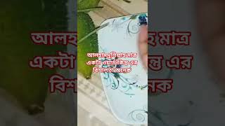 আলহামদুলিল্লাহ #shortvideo #আলহামদুলিল্লাহ #islamikvidio #foryou #motivation #cookingwithlove