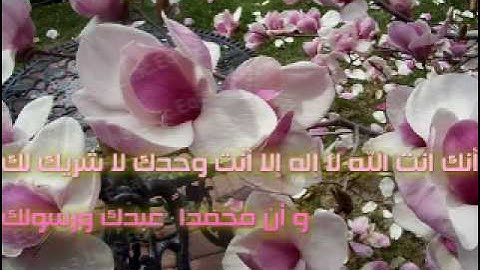 فيديو أذكار الصباح محمد جبريل  Eqla3.com